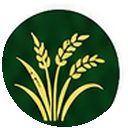 Paddy Field Walk icon